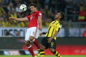 波特兰开拓者训练开放日，转会期复出首秀引欢呼，德国杯在即，医务组通报恢复(波特兰开拓者)