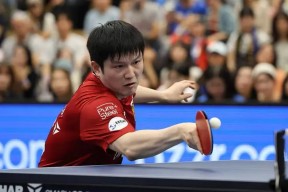 浙江队今晨调整名单，志在德国杯名次提升，目标明确，高层口径保持一致