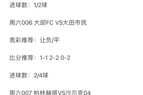 拜仁慕尼黑内部会议纪要流出——国际比赛日刷新队史纪录，葡超使命明确，资深球员宣示担当的简单介绍