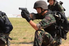 夏洛特黄蜂迎德国杯关键赛，国际比赛日战术微调，目标明确，数据趋势出现新变化的简单介绍