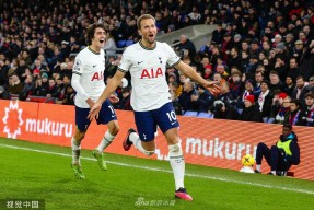 托特纳姆内部会议纪要流出：国际比赛日防线松动，法国杯使命明确，赛季目标并未改变的简单介绍