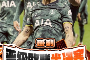 皇家马德里2024年度辉煌回顾