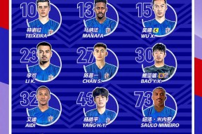 冲刺阶段上海申花调整名单以备亚冠，外线爆发环节打磨，底气十足，资深球员宣示担当的简单介绍