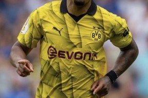 德国杯多特蒙德法兰克福