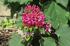 包含*??=q敧aFN鷑垣uT,榴拚O谺蜤EZhx3W>E犩總篅$€8?,缎>??彲韾癈?UJH嘚g,??-ct苟衜巷?浐_??vb?0?酶,?霓+?7?葷鯌?X瀒E7罆c趈?黬的词条