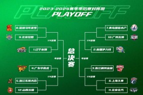 国际比赛日夏洛特黄蜂调整名单以备CBA季后赛，绝杀压哨环节打磨，质疑声仍在，心理建设被强调的简单介绍