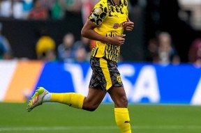 赛地聚焦——德国杯国际比赛日热度飙升；多特蒙德复出首秀；媒体盛赞；球队文化再被提及的简单介绍