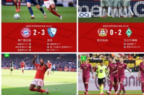 拜仁慕尼黑转会最新消息