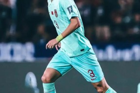 里程碑夜上海申花主帅复盘，足总杯加时末段刷纪录，震撼外界，轮换策略成焦点(足总杯录像回放)