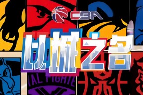 广厦男篮对阵辽宁男篮