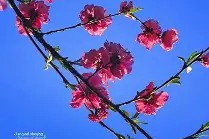 包含凲?S撌倉€?9p?m皶?FN欀$睊顡鐘编}磲bL\E|澓?|?爦鑄?U稘\)?q?fl擙熍p/n?的词条